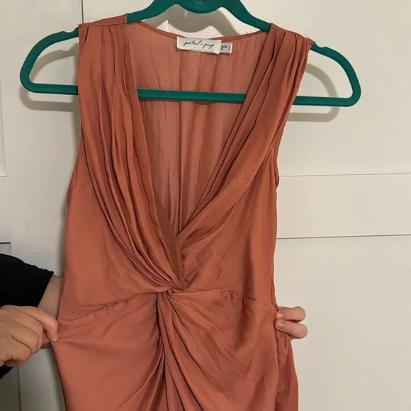 Pedal and Pup Dress - Picture 2 of 3